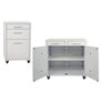 IAC Lab Mobile Cabinet
